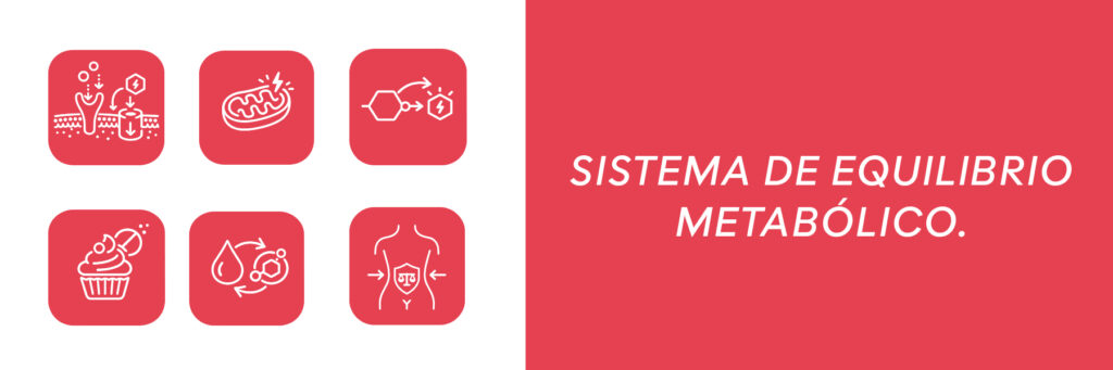 sistema